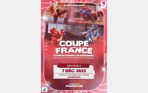 coupe de france combats kung fu traditionnel